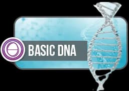 ThetaHealing Basic DNA