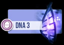 ThetaHealing DNA 3